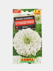 Цинния Крупноцветковая белая (семена,цветы)