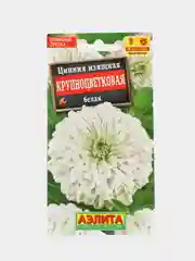 Цинния Крупноцветковая белая (семена,цветы)