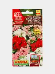 Семена цветов Флокс "Балконный махровый"