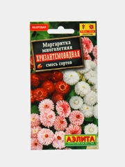 Маргаритка Хризантемовидная (семена,цветы)