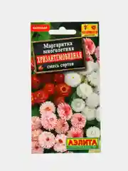 Маргаритка Хризантемовидная (семена,цветы)