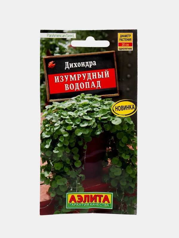 Дихондра Изумрудный водопад (семена,цветы)