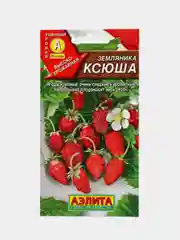 Земляника Ксюша (семена)