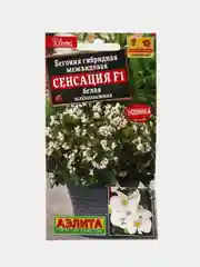 Бегония Сенсация белая (семена,цветы)