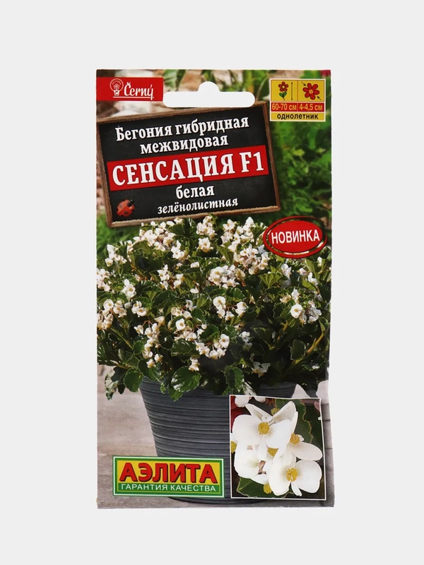 Бегония Сенсация белая (семена,цветы)