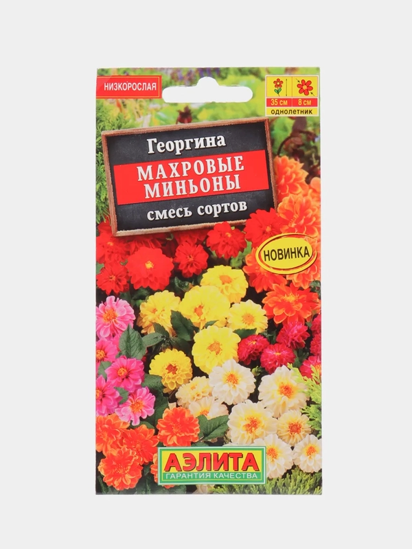 Георгина Махровые миньоны (семена,цветы)