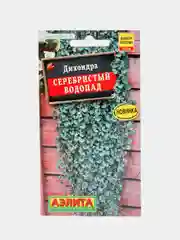 Дихондра Серебристый водопад (семена,цветы)