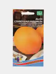 Дыня Сливочная карамель (семена)