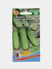 Огурец "Чудо на рекорд", семена