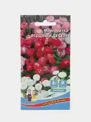 Маргаритка Ягодный десерт (семена,цветы)