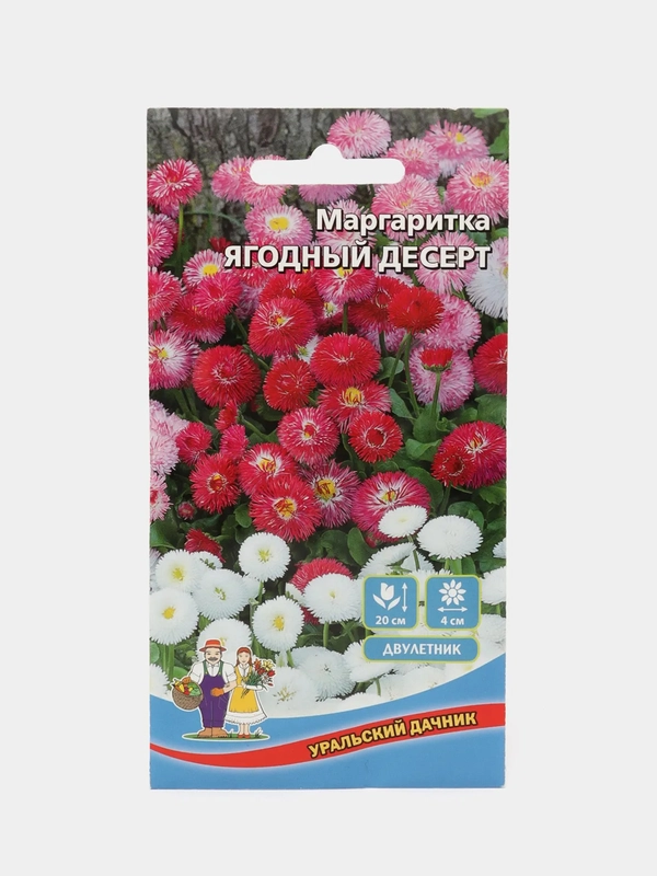 Маргаритка Ягодный десерт (семена,цветы)
