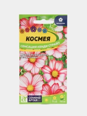 Семена цветов Космея "Сенсация Кенди Страйп", О, 0,5 г