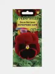 Семена виолы "Вечерняя заря виттрока"