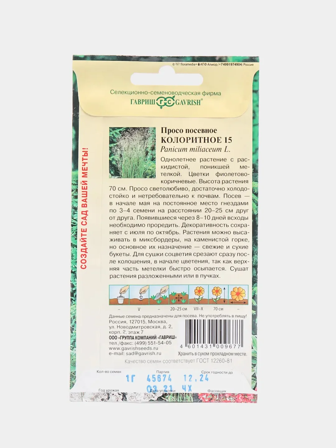 Просо Колоритное, семена