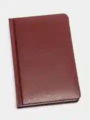 Коричневый ежедневник "Profile" недатированный, А6, BRAUBERG, 136 л