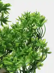 Лайм искусственное растение бонсай, декор для интерьера