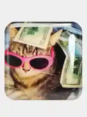 Кораллово-розовый 3d наклейки стикеры на телефон (котики, мемы, аниме)