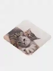 Угольный 3d наклейки стикеры на телефон (котики, мемы, аниме)