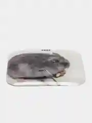 Алый 3d наклейки стикеры на телефон (котики, мемы, аниме)
