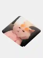 Хром 3d наклейки стикеры на телефон (котики, мемы, аниме)