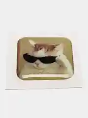 Конфетный 3d наклейки стикеры на телефон (котики, мемы, аниме)