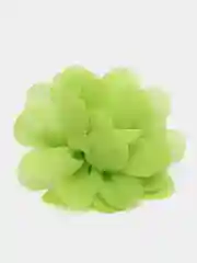 Лайм заколка