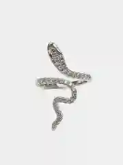 Серебряный кольцо Snake