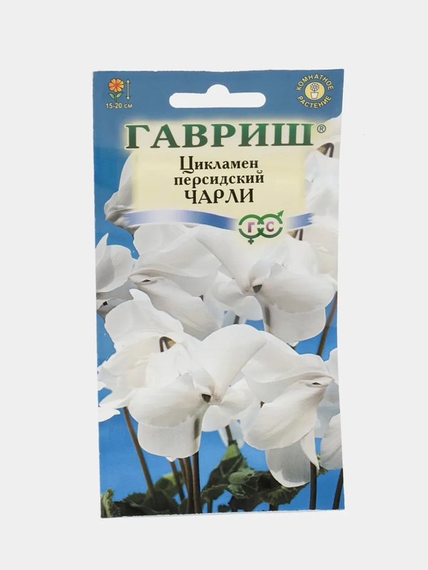 Цикламен персидский "Чарли"
