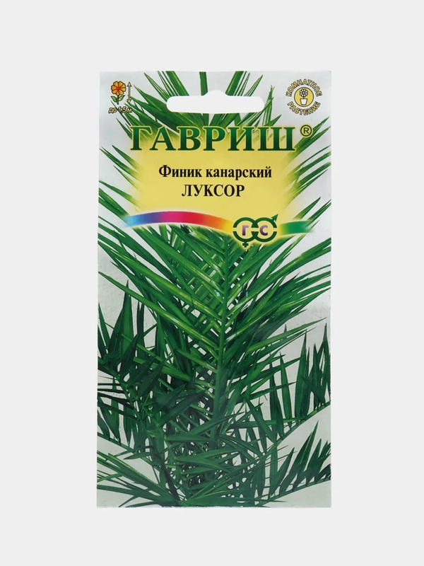 Финик канарский "Луксор", семена