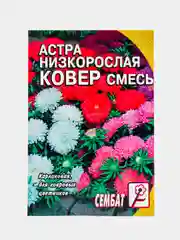 Семена цветов Астра "Ковер", низкорослая, смесь, 0,2 г