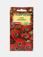 Адонис "Керубино" семена цветов