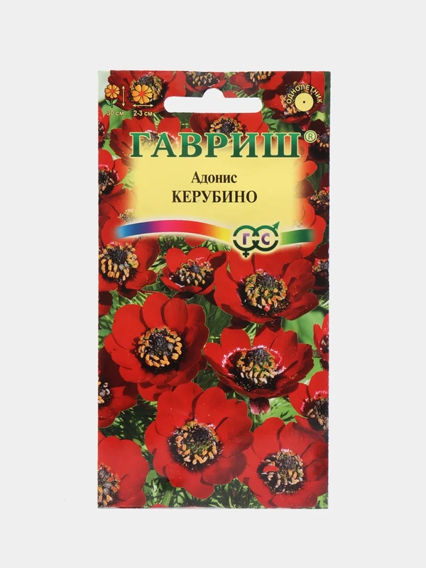 Адонис "Керубино" семена цветов