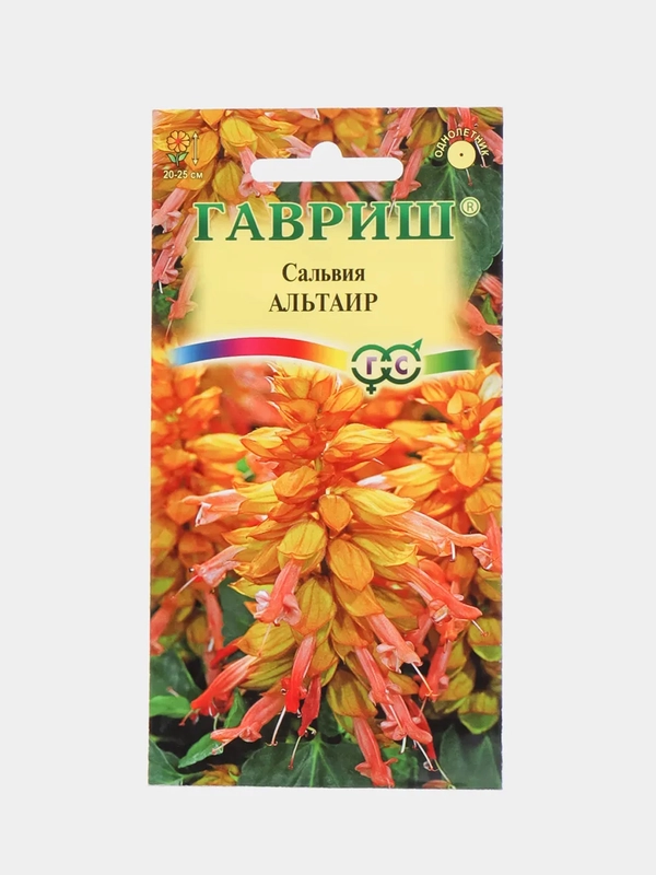 Сальвия Альтаир, семена, цветы