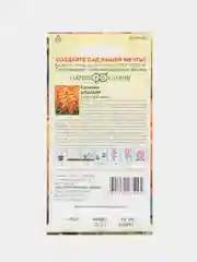 Сальвия Альтаир, семена, цветы