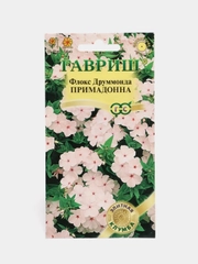 Флокс Примадонна, семена, цветы