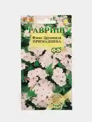 Флокс Примадонна, семена, цветы