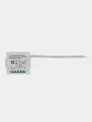 2-канальное реле Zigbee с Алисой