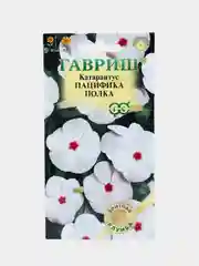 Катарантус Пацифика полка (семена,цветы)