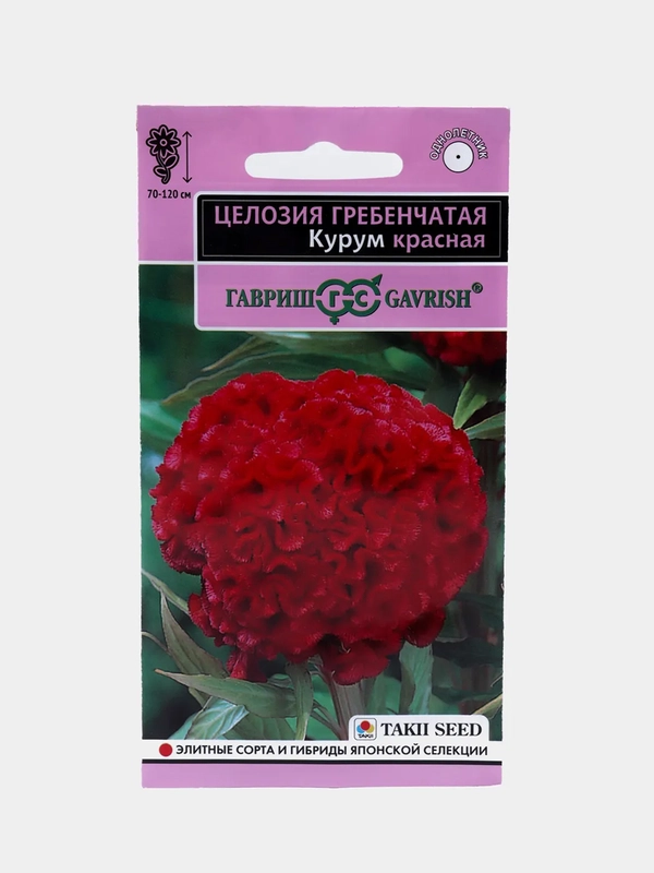 Целозия Курум красная (семена,цветы)