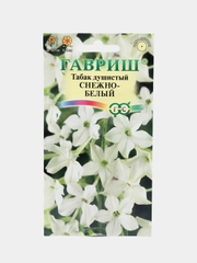 Табак Снежно белый душистый (семена,цветы)
