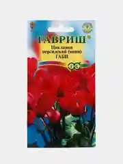 Цикламен Габи персидский мини (семена,цветы)