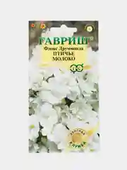 Семена цветов Флокс "Птичье молоко"