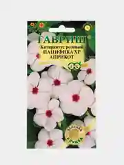 Катарантус Пацифика априкот розовый (семена,цветы)