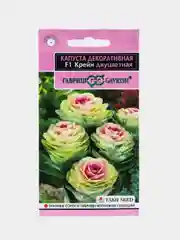 Капуста декоративная Крейн двуцветная (семена,цветы)
