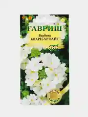 Вербена "Кварц вайт", семена, цветы