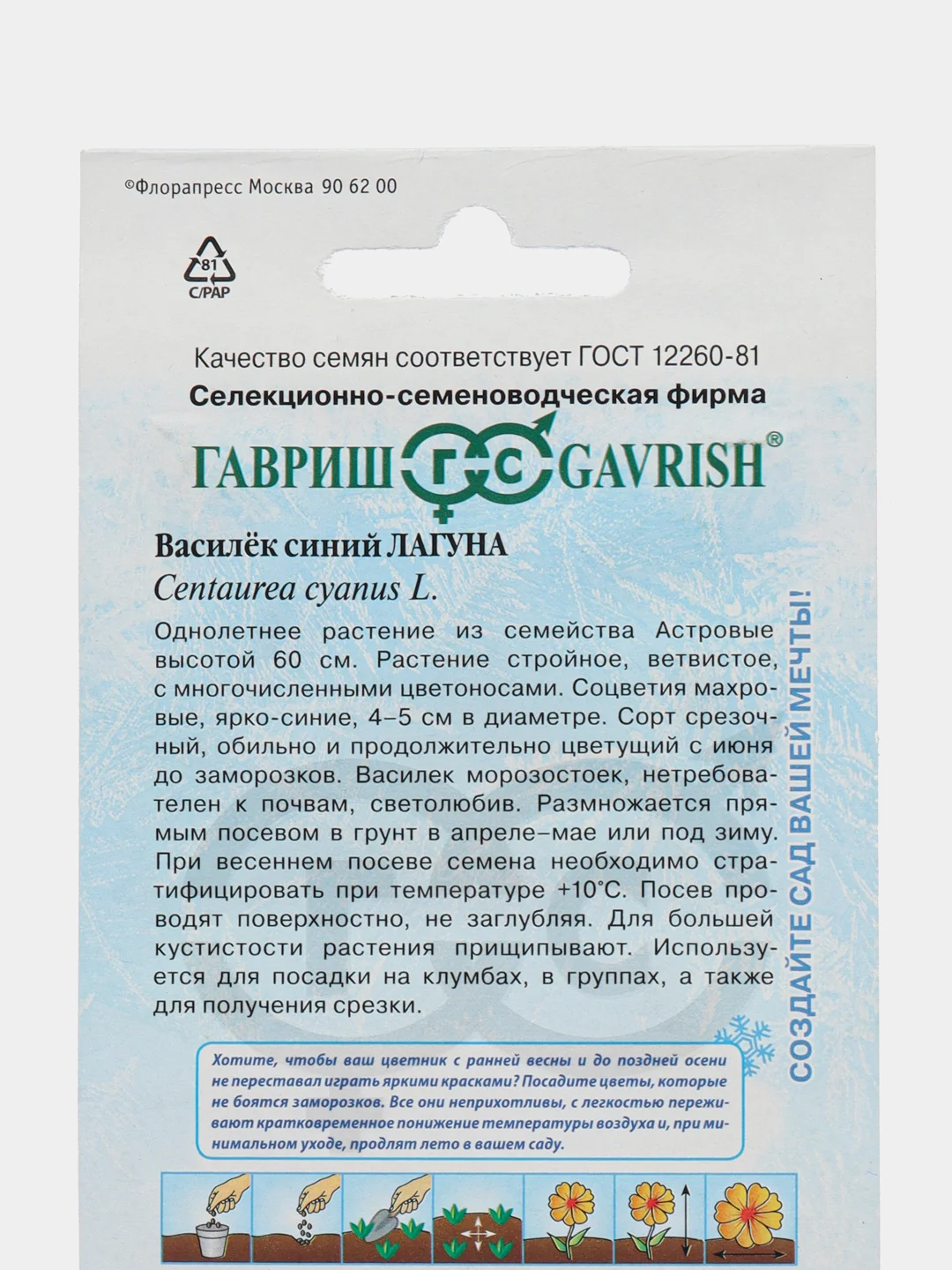 Василек "Лагуна"(семена,цветы)