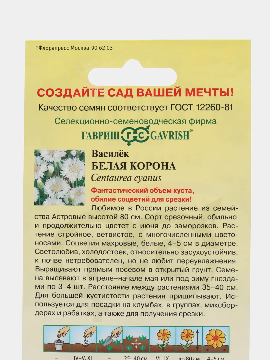 Василек "Белая корона"(семена,цветы)