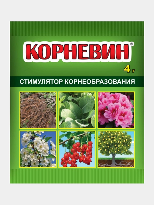 Корневин, 4 гр, стимулятор корнеобразования