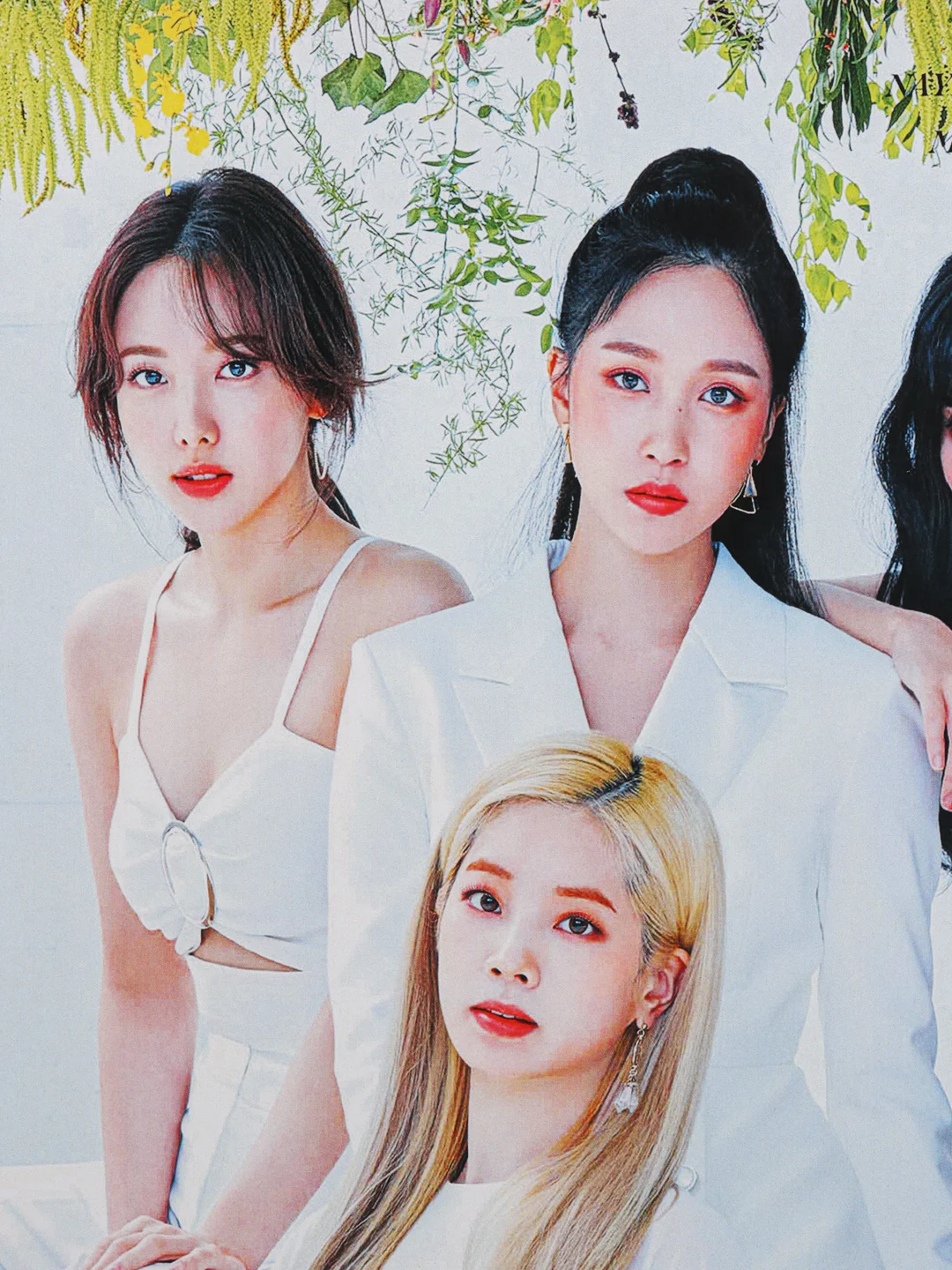 Бордовый плакат кпоп TWICE, k-pop, Твайс, постер