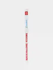 Серый внеклассное чтение 1,2,3,4,5 класс, для начальной школы, самовар